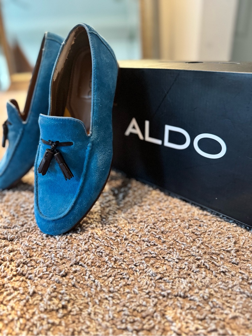 ALDO Men’s Teal Suede Tassel Loafers